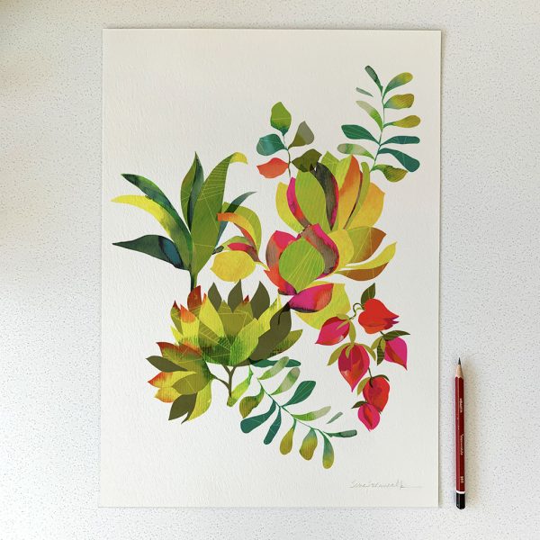 Succulent - Limited Edition Art Print